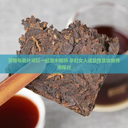 薄荷与茶叶可以一起泡水喝吗 孕妇女人适宜性及功效作用探讨