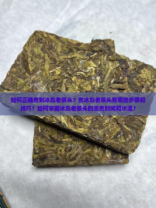如何正确煮制冰岛老茶头？煮冰岛老茶头有哪些步骤和技巧？如何掌握冰岛老茶头的泡煮时间和水温？
