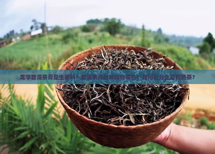 龙字普洱茶膏是生茶吗？普洱茶膏的种类有哪些？如何区分生茶和熟茶？