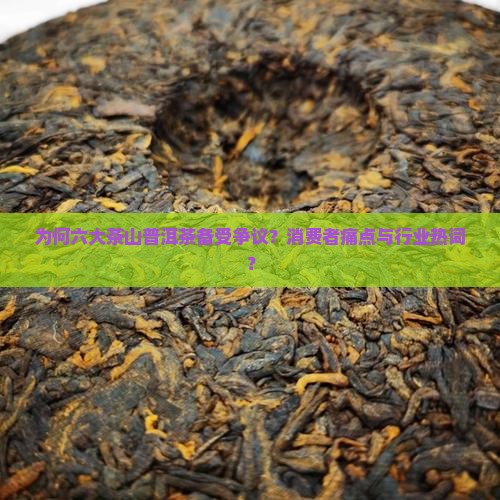 为何六大茶山普洱茶备受争议？消费者痛点与行业热词？