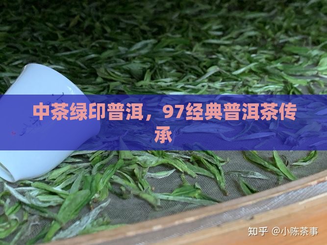 中茶绿印普洱，97经典普洱茶传承
