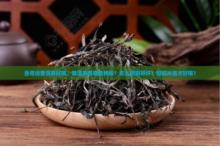 岳哥说普洱茶好喝，普洱茶有哪些种类？怎么辨别好坏？如何冲泡才好喝？