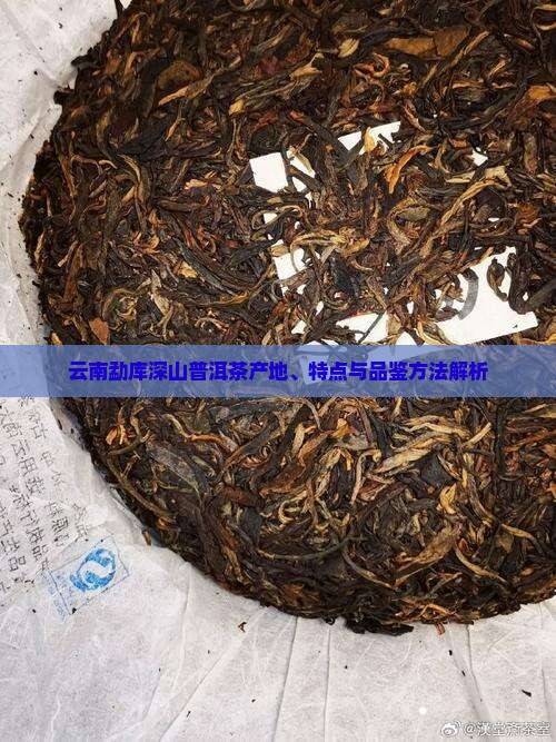 云南勐库深山普洱茶产地、特点与品鉴方法解析