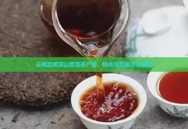 云南勐库深山普洱茶产地、特点与品鉴方法解析