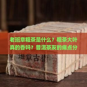 老班章粗茶是什么？粗茶大叶真的香吗？普洱茶友的痛点分析