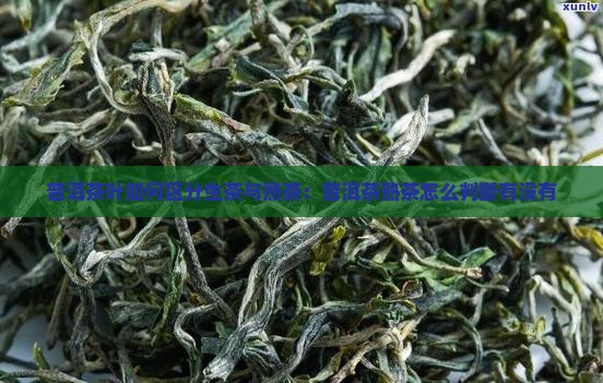 普洱茶叶如何区分生茶与熟茶：普洱茶熟茶怎么判断有没有
