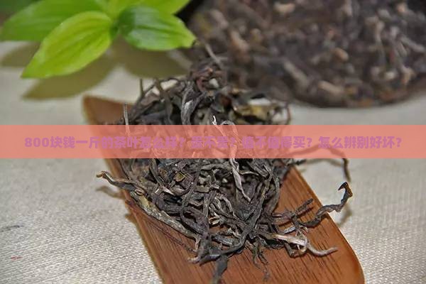 800块钱一斤的茶叶怎么样？贵不贵？值不值得买？怎么辨别好坏？