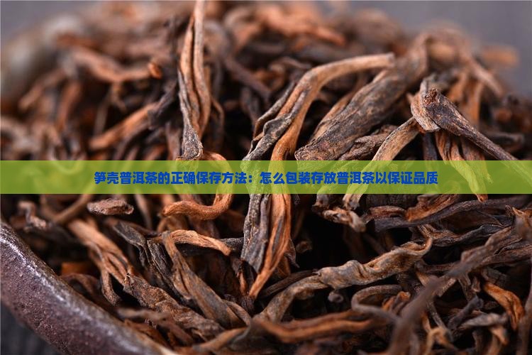 笋壳普洱茶的正确保存方法：怎么包装存放普洱茶以保证品质