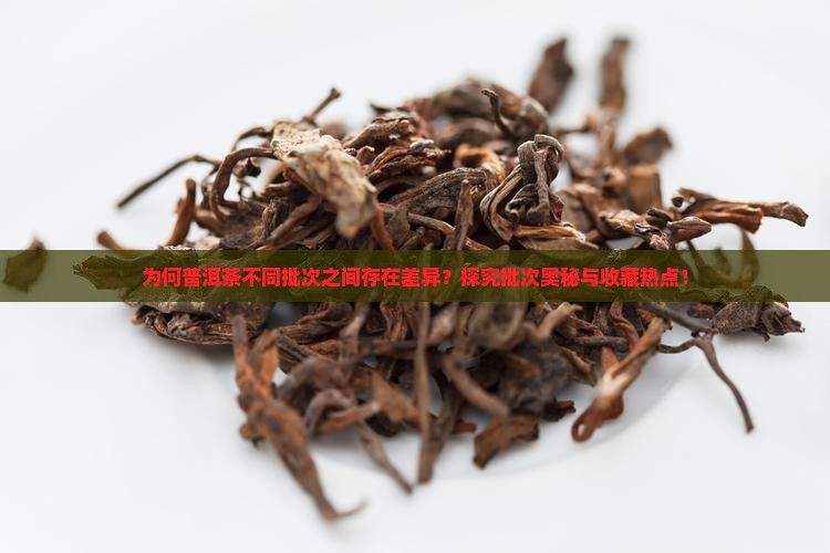 为何普洱茶不同批次之间存在差异？探究批次奥秘与收藏热点！