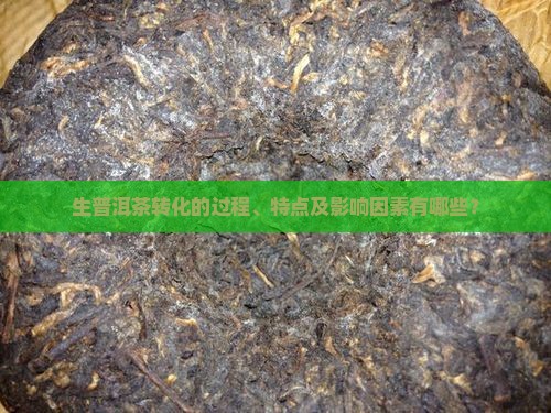 生普洱茶转化的过程、特点及影响因素有哪些？