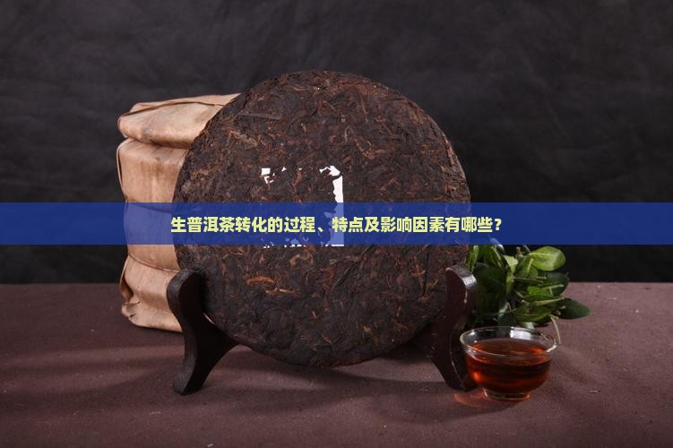 生普洱茶转化的过程、特点及影响因素有哪些？