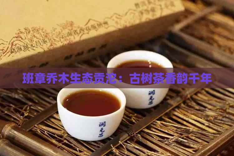 班章乔木生态贡沱：古树茶香韵千年