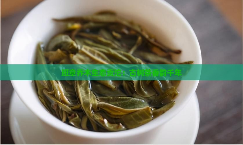 班章乔木生态贡沱：古树茶香韵千年