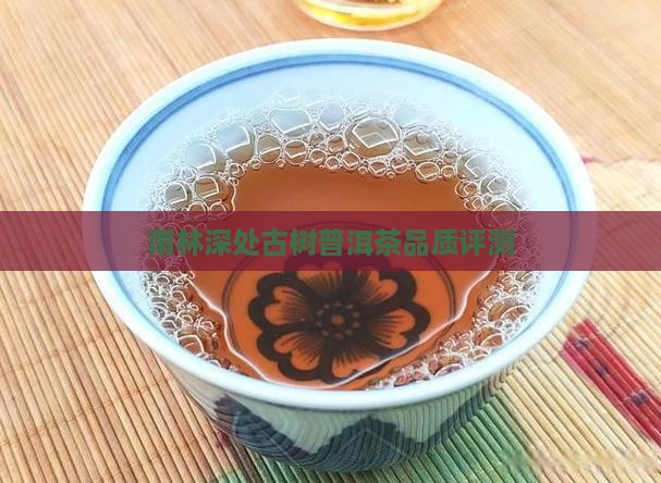 雨林深处古树普洱茶品质评测