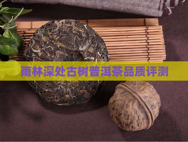 雨林深处古树普洱茶品质评测