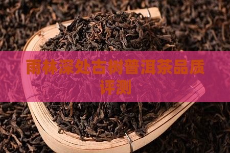 雨林深处古树普洱茶品质评测