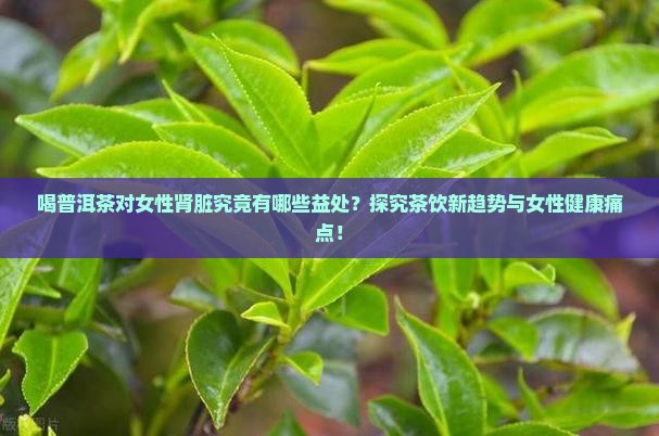 喝普洱茶对女性肾脏究竟有哪些益处？探究茶饮新趋势与女性健康痛点！