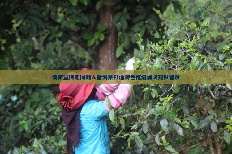 消防宣传如何融入普洱茶打造特色推进消防知识普及