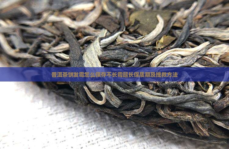 普洱茶饼发霉怎么保存不长霉延长保质期及挽救方法