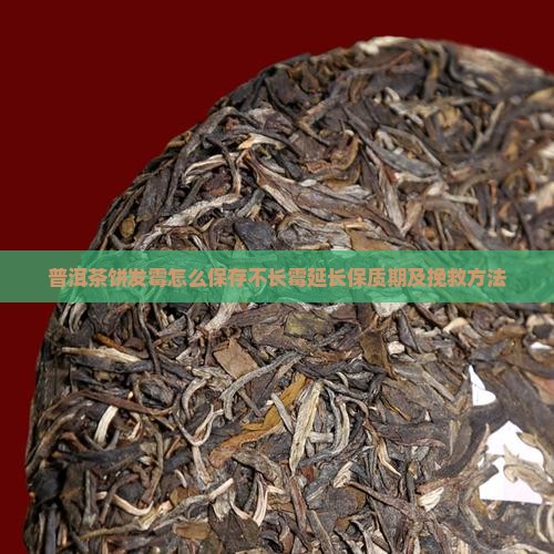 普洱茶饼发霉怎么保存不长霉延长保质期及挽救方法