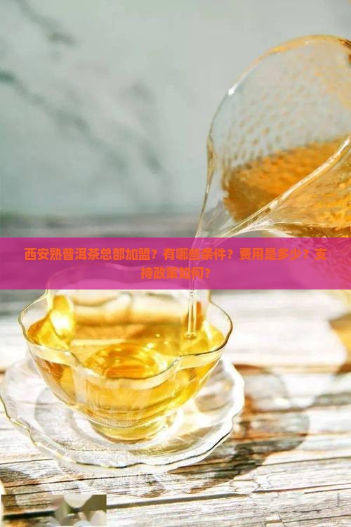 西安熟普洱茶总部加盟？有哪些条件？费用是多少？支持政策如何？