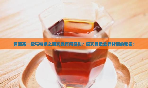 普洱茶一级与特级之间究竟有何区别？探究品质差异背后的秘密！