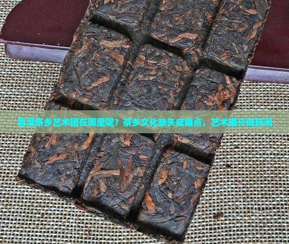 普洱茶乡艺术团在哪里呢？茶乡文化缺失成痛点，艺术振兴成热词