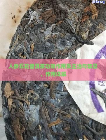 人参五花普洱茶功效作用及主治与禁忌、作用详解 人参五花普洱茶功效作用及主治与禁忌、作用详解