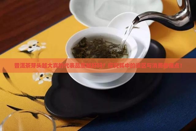 普洱茶芽头越大真的代表品质越好吗?探究其中的误区与消费者痛点! 普洱茶芽头越大真的代表品质越好吗?探究其中的误区与消费者痛点!