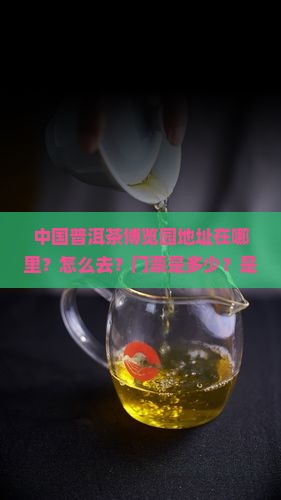 中国普洱茶博览园地址在哪里？怎么去？门票是多少？是什么？