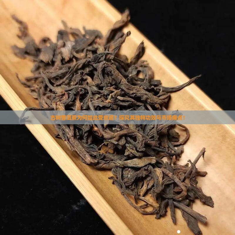 古树普洱茶为何如此受欢迎？探究其独特功效与市场痛点！