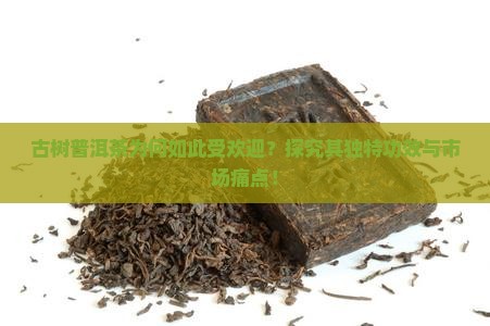 古树普洱茶为何如此受欢迎？探究其独特功效与市场痛点！