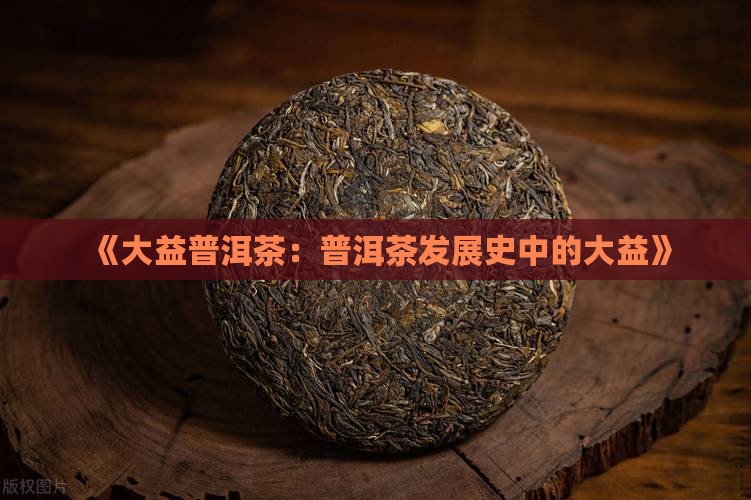 《大益普洱茶：普洱茶发展史中的大益》