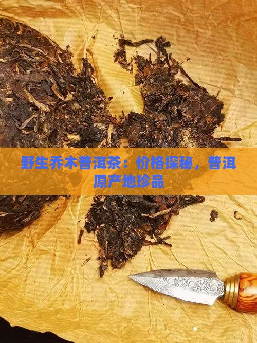 野生乔木普洱茶：价格探秘，普洱原产地珍品