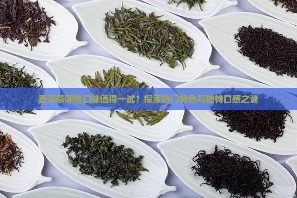 普洱茶哪些口味值得一试？探索热门特色与独特口感之谜
