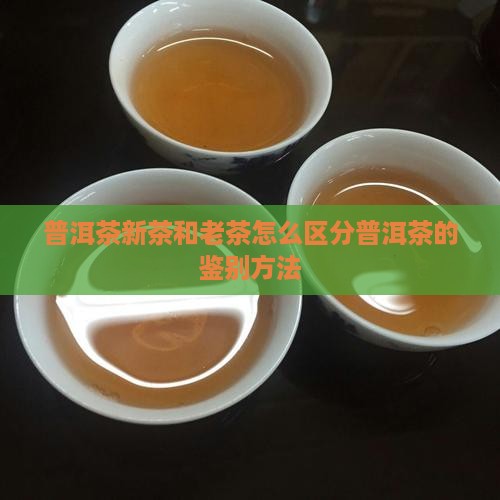 普洱茶新茶和老茶怎么区分普洱茶的鉴别方法