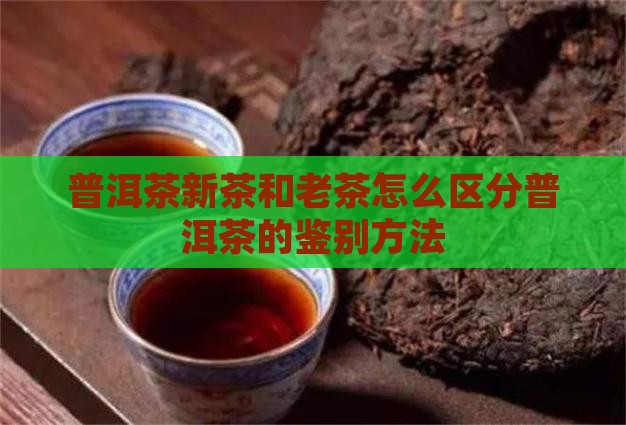 普洱茶新茶和老茶怎么区分普洱茶的鉴别方法