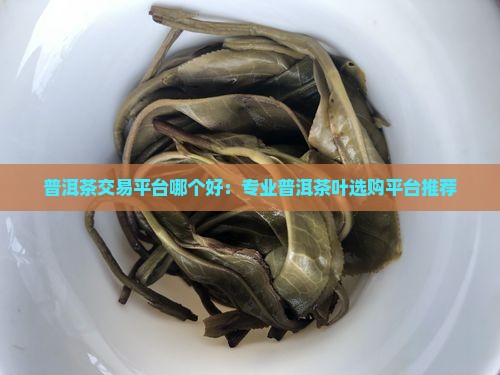 普洱茶交易平台哪个好：专业普洱茶叶选购平台推荐