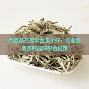 普洱茶交易平台哪个好：专业普洱茶叶选购平台推荐