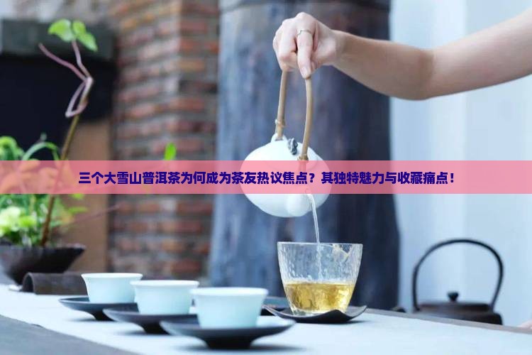 三个大雪山普洱茶为何成为茶友热议焦点？其独特魅力与收藏痛点！