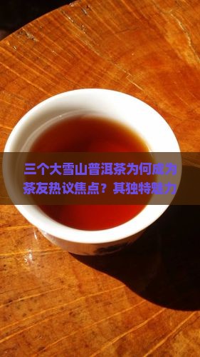 三个大雪山普洱茶为何成为茶友热议焦点？其独特魅力与收藏痛点！