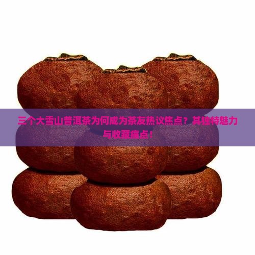 三个大雪山普洱茶为何成为茶友热议焦点？其独特魅力与收藏痛点！