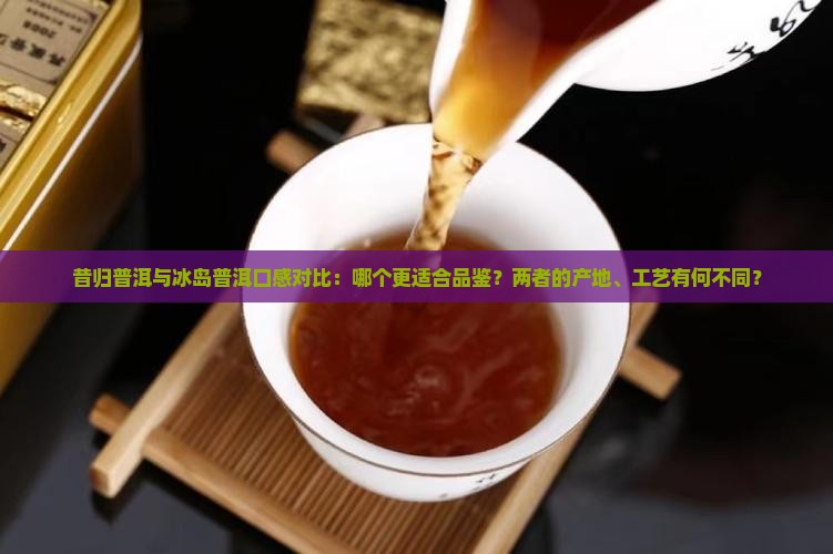 昔归普洱与冰岛普洱口感对比：哪个更适合品鉴？两者的产地、工艺有何不同？