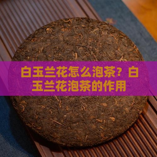白玉兰花怎么泡茶？白玉兰花泡茶的作用