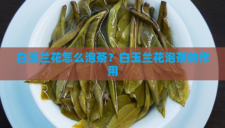 白玉兰花怎么泡茶？白玉兰花泡茶的作用