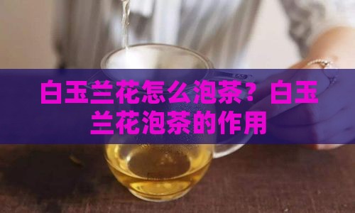 白玉兰花怎么泡茶？白玉兰花泡茶的作用