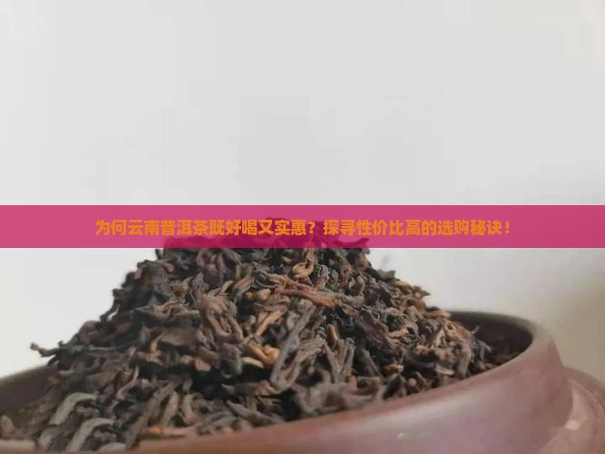 为何云南普洱茶既好喝又实惠？探寻性价比高的选购秘诀！