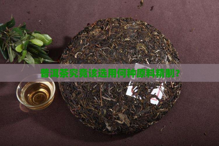普洱茶究竟该选用何种原料精制？