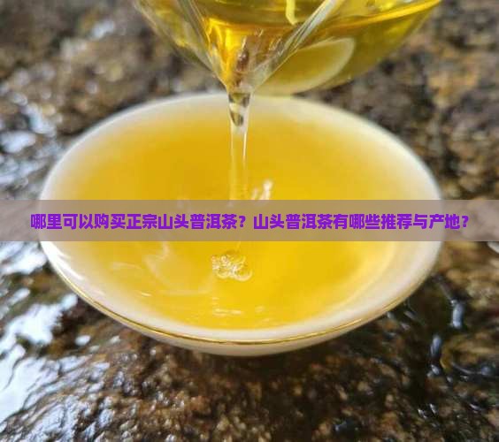 哪里可以购买正宗山头普洱茶？山头普洱茶有哪些推荐与产地？