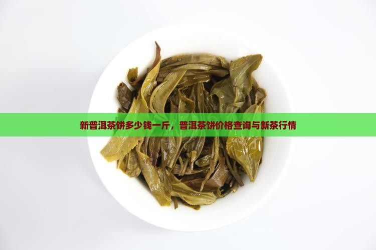 新普洱茶饼多少钱一斤，普洱茶饼价格查询与新茶行情